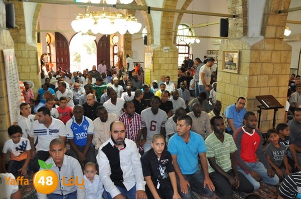 3eed 7san bek 808 (28).JPG